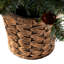 Craford Green Pine Christmas Tree with Mini Pine Cones in a Resin Pot