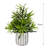 Artificial Fern Decorative Plants in Pot (3 Pieces)