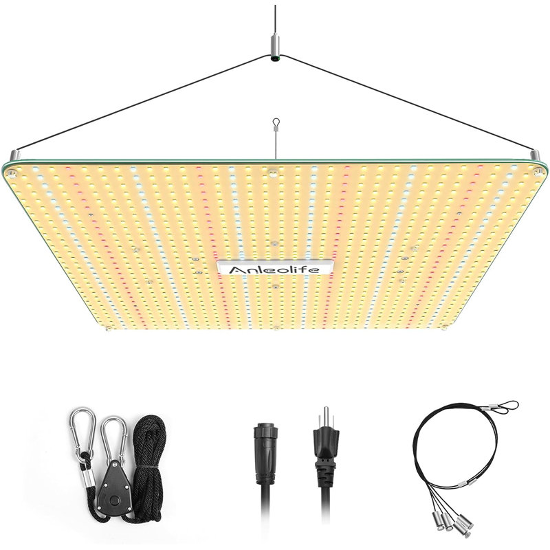 Waveflower Grow Light