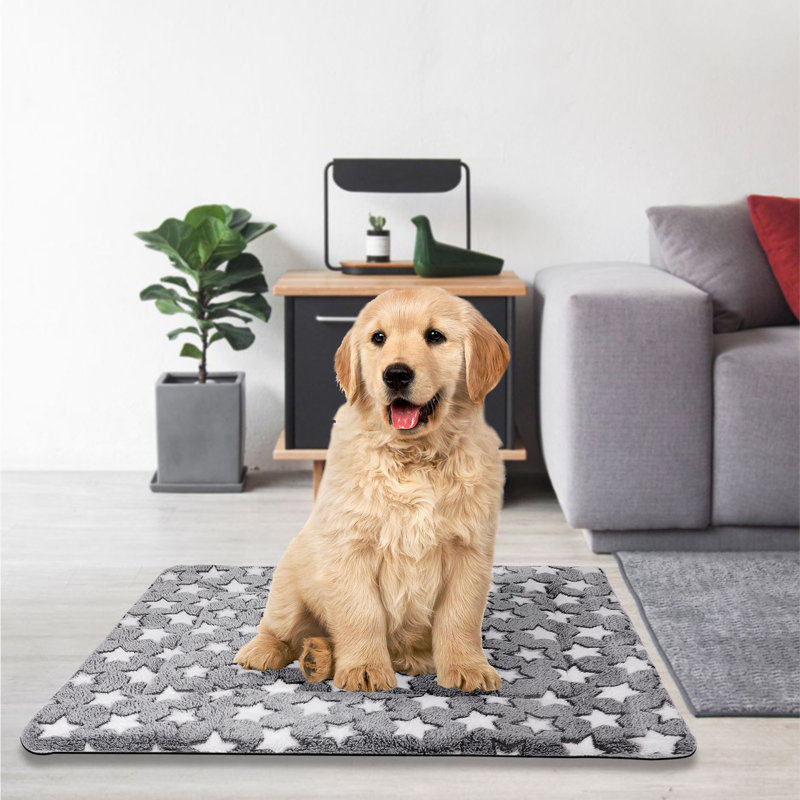 Tapis confortable pour animaux Montegue, Grand (l 31,5 po x P 23,62 po x H 1 po)