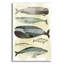 «Whales» par Pete Oswald-1520006630