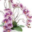 Arrangement moderne d'orchidées dans un pot rond en fibre de pierre-458349338