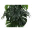Décoratif d'intérieur de 24 po de hauteur avec des feuilles en pot noir réglable - Décor