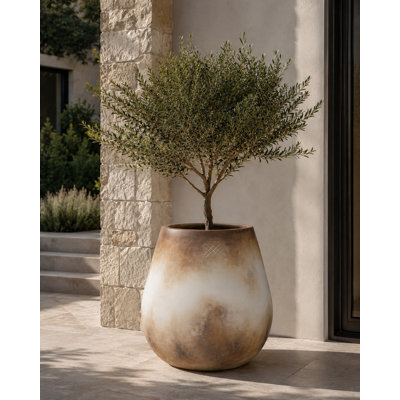 Clay Planter