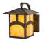 Rustic Lodge 1 - Light Armed Sconce