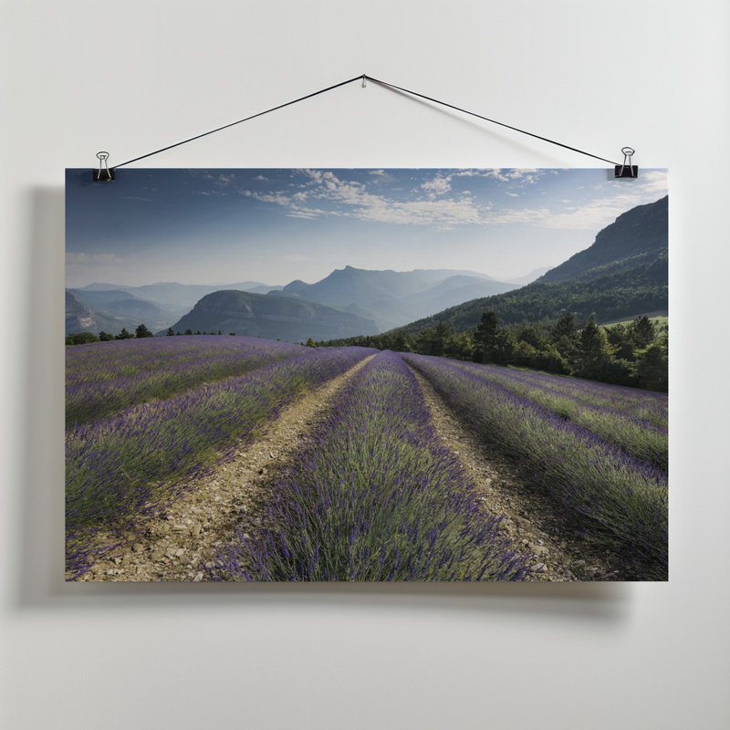 Wrapped Canvas Print, 60.96cm H x 91.44cm W