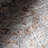 Bungalow Rose Iana Medallion SplashGuard Machine Washable Area Rug-534835437
