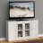 Annmarie Storage Bookcase