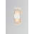 Acuo LED Wall Light-1521530625-1565825156