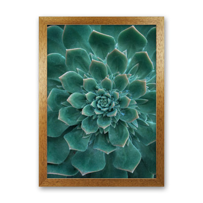 Green Succulent Plant 1 Piece Wall Art