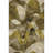 Nolah Area Rug with Non-Slip Backing-454910505