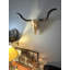 Décoration murale crâne de vache Longhorn
