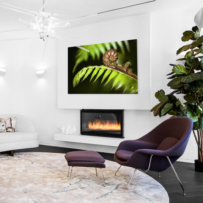 Fern Branch! Print, Aluminum, 30" H x 40" W x 1" D