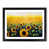 Black Framed selected