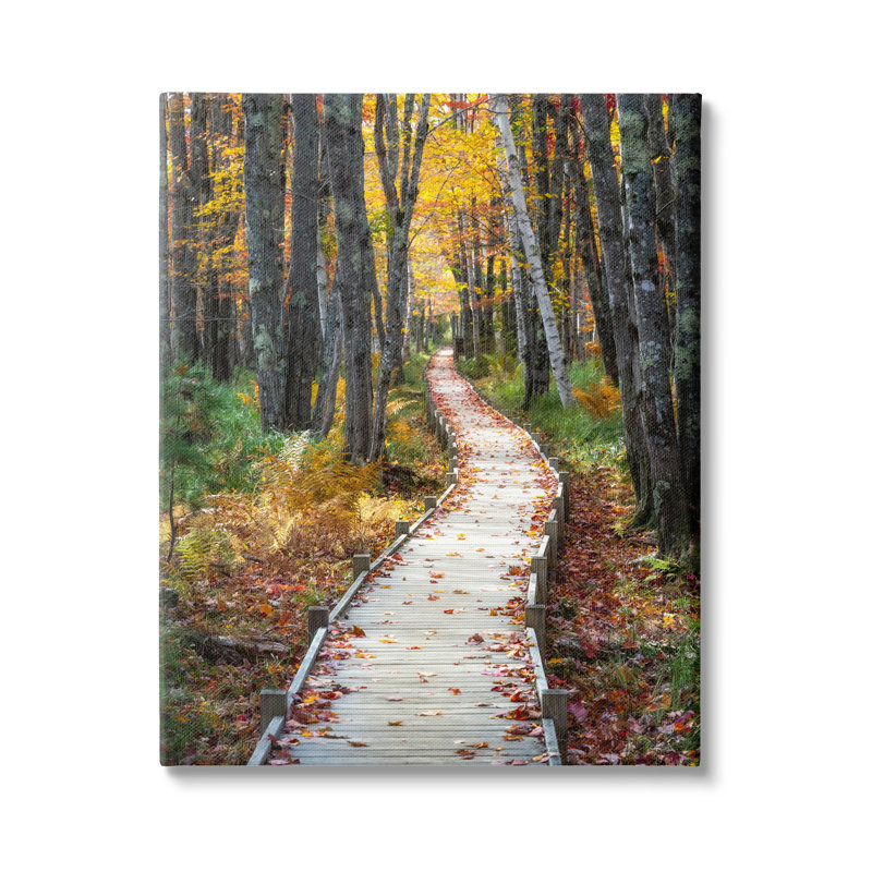 «Au-723», toile «Nature Path Autumn Foliage On Canvas» par Danny Head, photographie, H 20 po x l 16 po x P 1,5 po