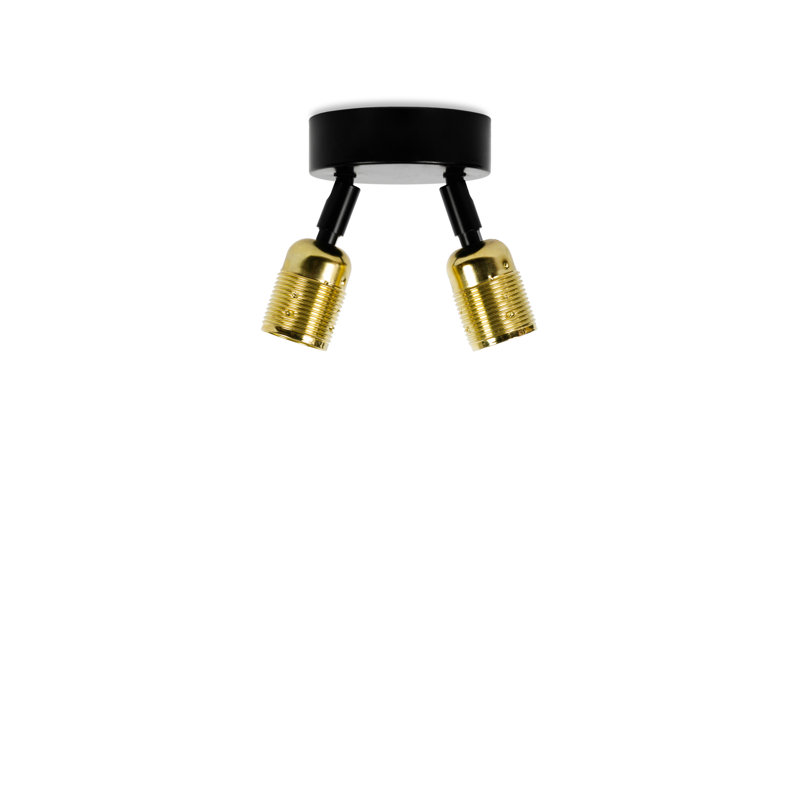 Garry Flush Mount, Brass/Black