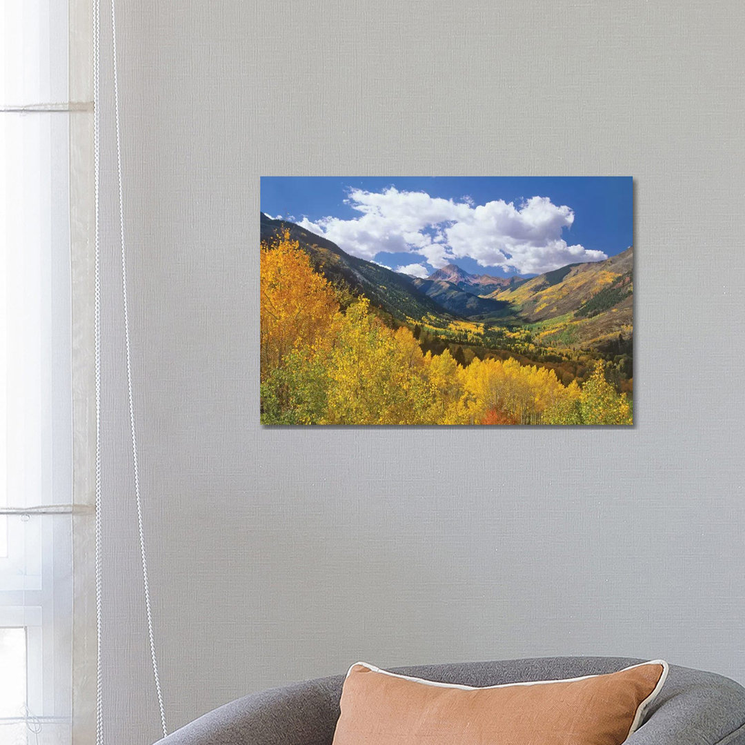 Haystack Mountain With Aspen Forest, Maroon Bells-Snowmass Wilderness, Colorado von Tim Fitzharris - Gallery-Wrapped Can...