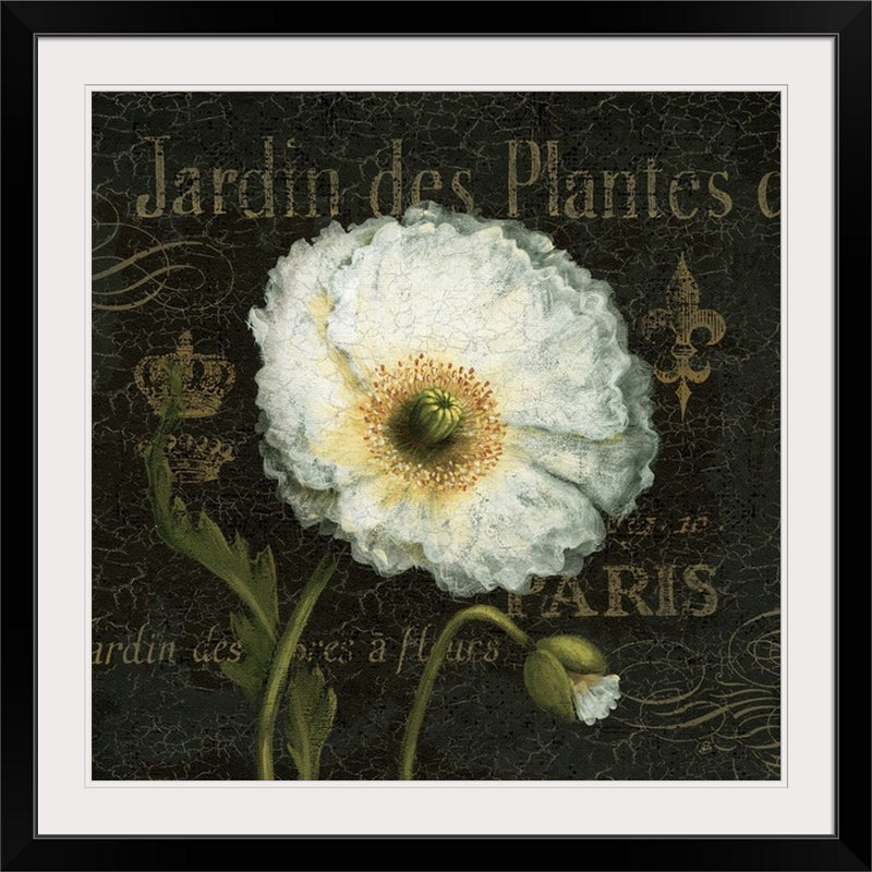 Murakami Botanical Garden I 'Daphne Brissonnet, impression, H 20" x l 20" x P 1", Cadre noir