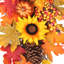 Tournesol 32 po