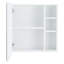 Armoire à miroir murale blanche pour salle de bain, armoire à pharmacie rectangulaire Hd
