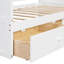 Canopy Day Bed With 2 Drawers-433764123