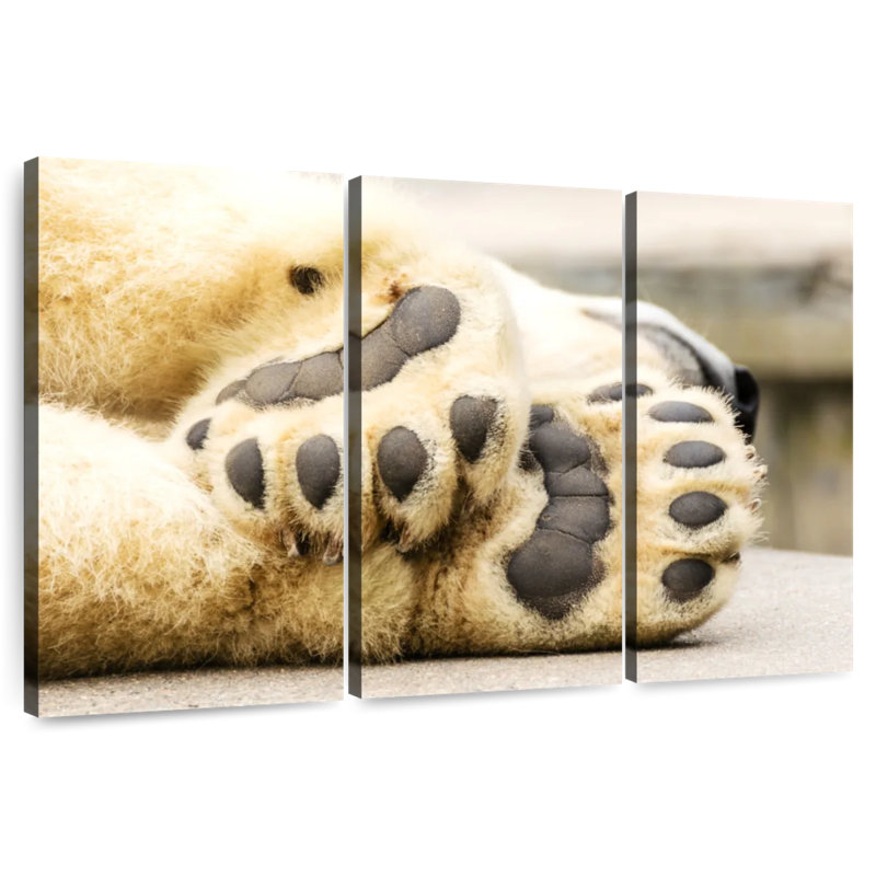 Brampt Polar Bear Paws, 36" H x 57" W