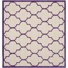 Ivory/Purple