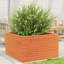 2 Wood Planter-100491942-100491946