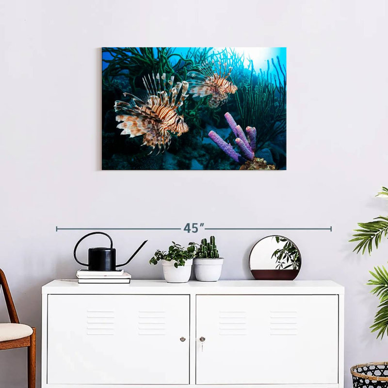 Brampt Atlantic Ocean Lionfish, 20" H x 30" W