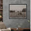 Grazing I Print by Tim Klein