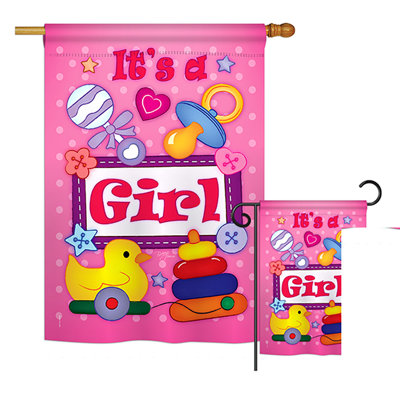 Double Sided Polyester New Baby Flag Set