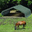 6.5m x 6m Canopy