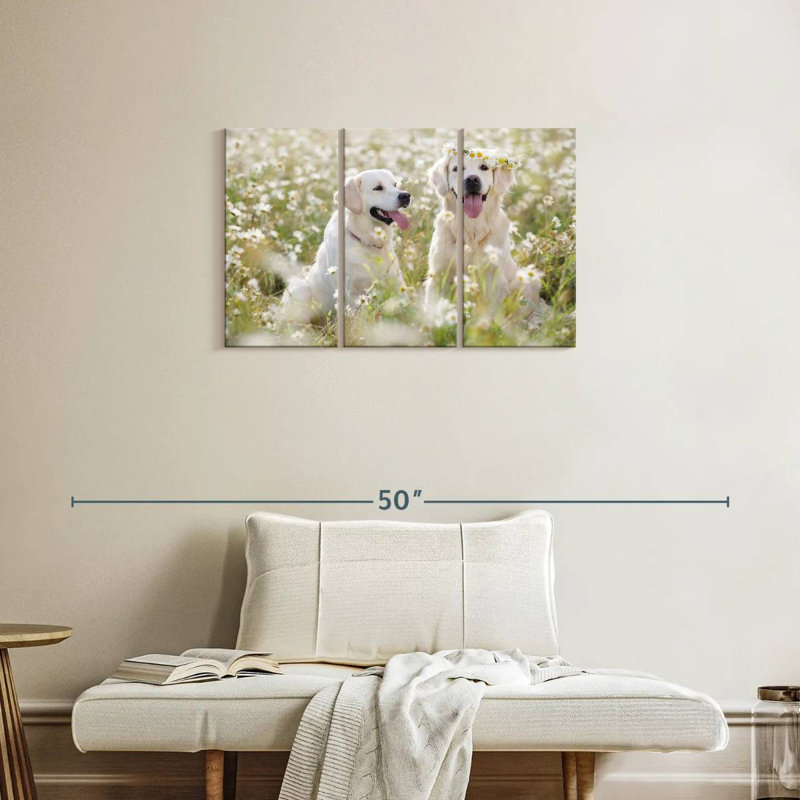 Couple de Golden Retriever, H 20 po x l 33 po