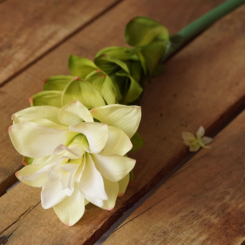 Tige de décoration florale 30 po, Crème / Blanc