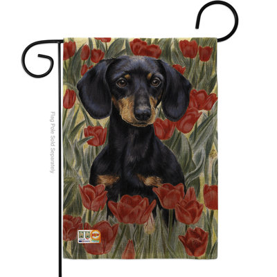 Drapeau de jardin teckel en tulipe 2 pièces Impressions 2 pi 6,5 po x 1 pi 1 po