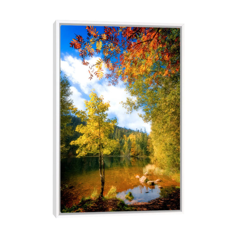 Fall Framing by Philippe Sainte-Laudy - Print on Canvas, 66.04 cm H x 45.72 cm W, White Framed