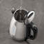 Daewoo 1.7L Stainless Steel Electric Tea Kettle