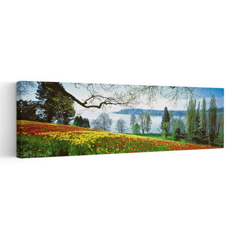 Lac de Constance, Insel Mainau, Allemagne, abstrait, tulipe jonquille, paysage printanier, art mural, H 20 po x l 60 po
