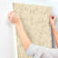 Papier peint brun clair Sonny-1173010813