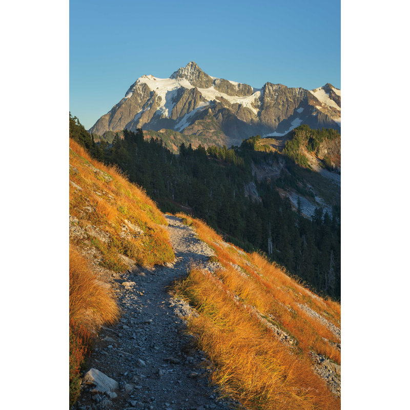 Mont Shuksan North Cascades, H 18 po x l 12 po, Non, Toile tendue