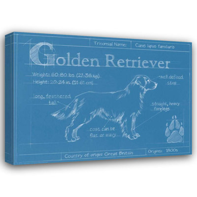 17 Stories Harper, Ethan Gallery Wrapped Canvas Art Titled: Blueprint Golden Retriever