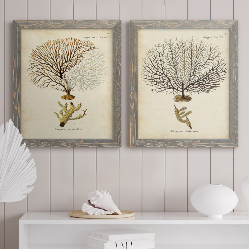 Toile encadrée Esper Sea Fans, H 20 po x l 17 po x P 1 po, Toile avec cadre gris, Pas de tapis