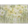 Premium Machine Washable Prisco Sage Rug