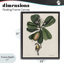 Cadre flottant Catesby Flora & Fauna, design par Print Collection-1778864654-1778864652