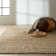 Riverstone Wool Area Rug in Brown