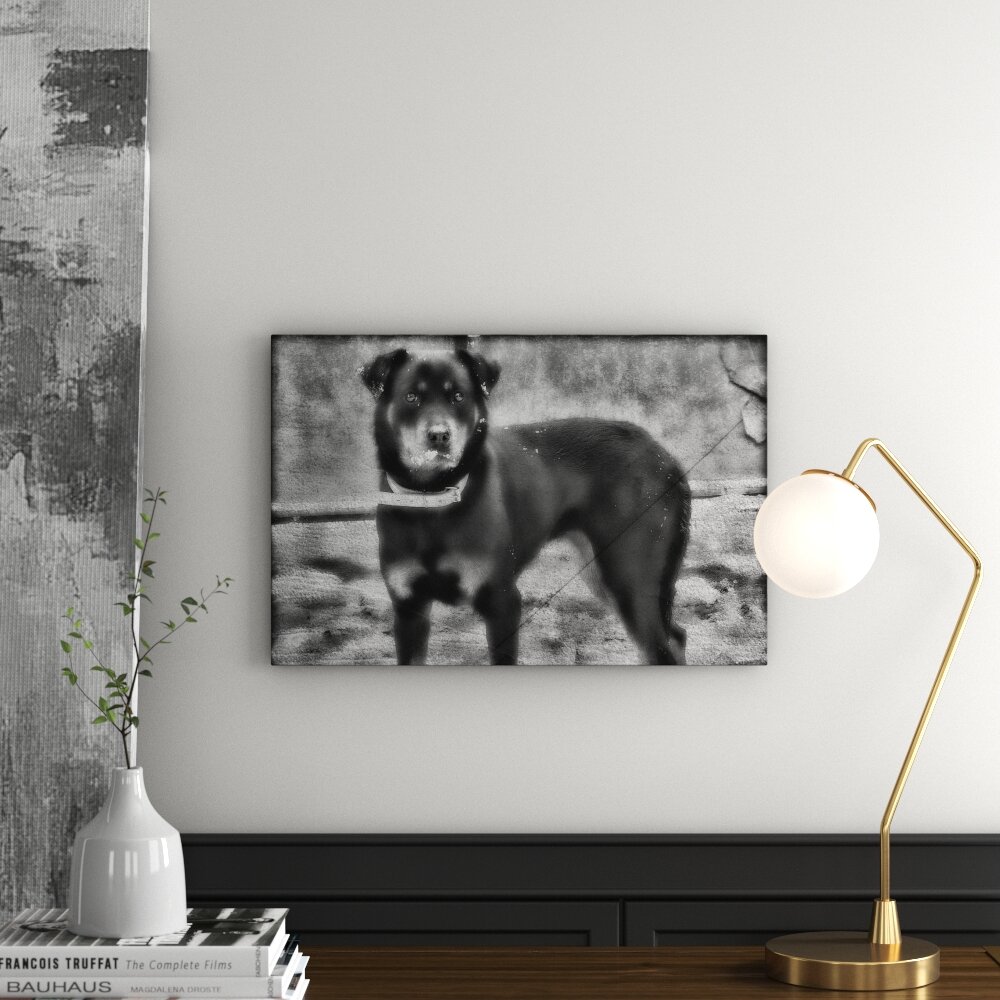 Leinwandbild Prächtiger Rottweiler in Monochrom