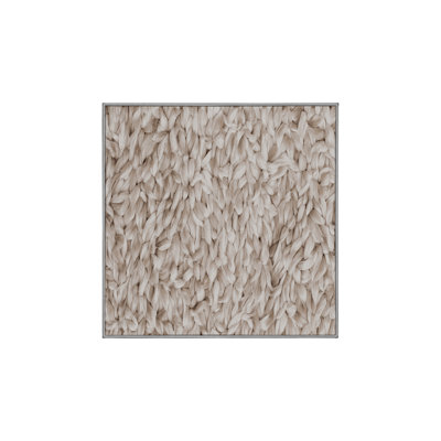 Machine Washable Gray Area Rug