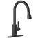 Pull Down Single Handle Kitchen Faucet with Deck Plate and Sprayer