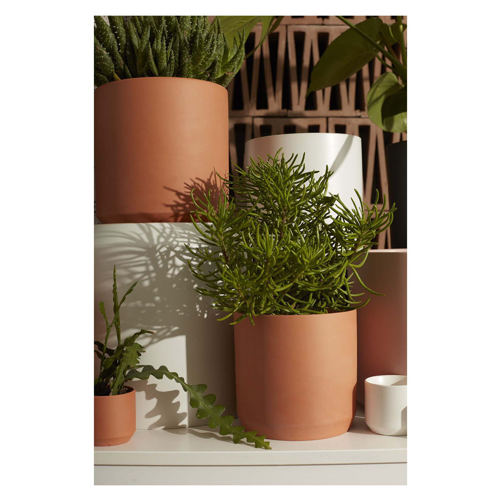 Parsons Handmade Ceramic Pot Planter, 6.75" H x 7" W x 7" D, Terracotta