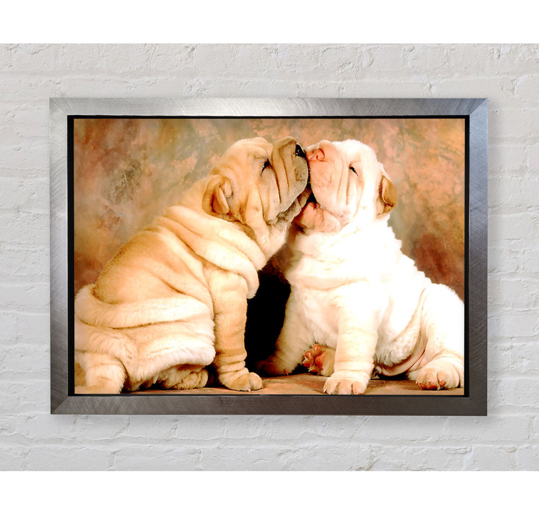 Shar Pei Welpen - Drucken